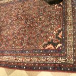 807 8244 ORIENTAL RUG